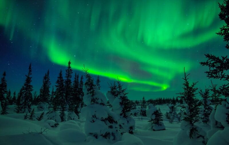 rovaniemi-private-aurora-hunting-tour-with-meal