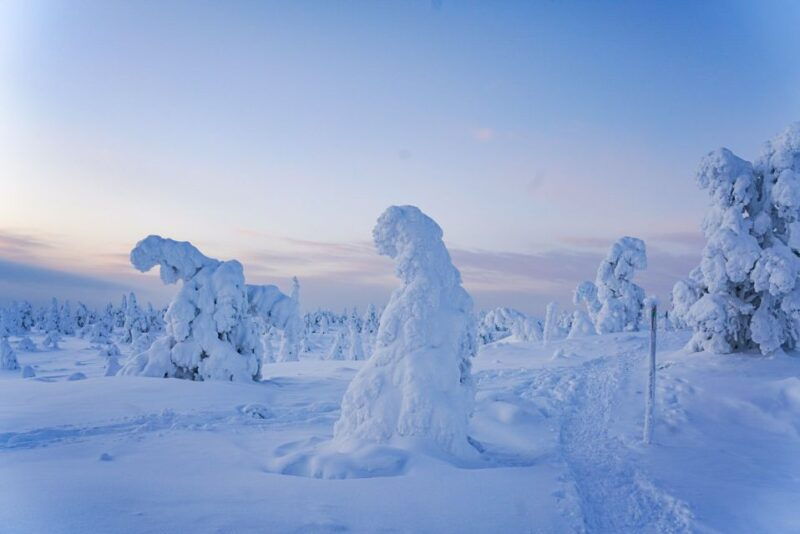 rovaniemi-riisitunturi-national-park-day-trip-with-lunch