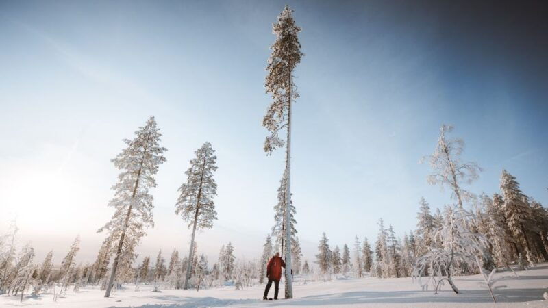 rovaniemi-ski-trekking-safari-in-lapland