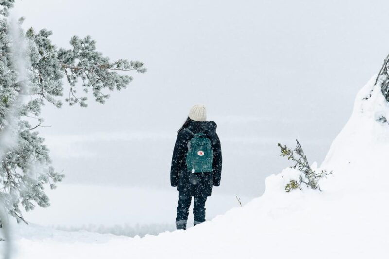 rovaniemi-snowshoeing-in-the-arctic-wilderness