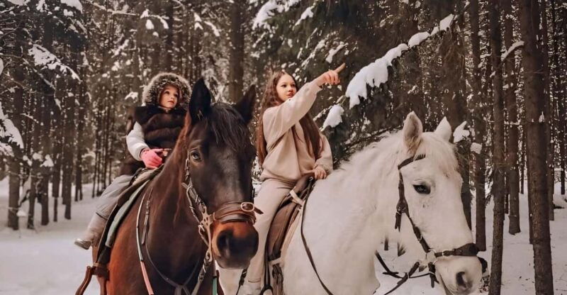 rovaniemi-winter-horse-riding-in-arctic-nature