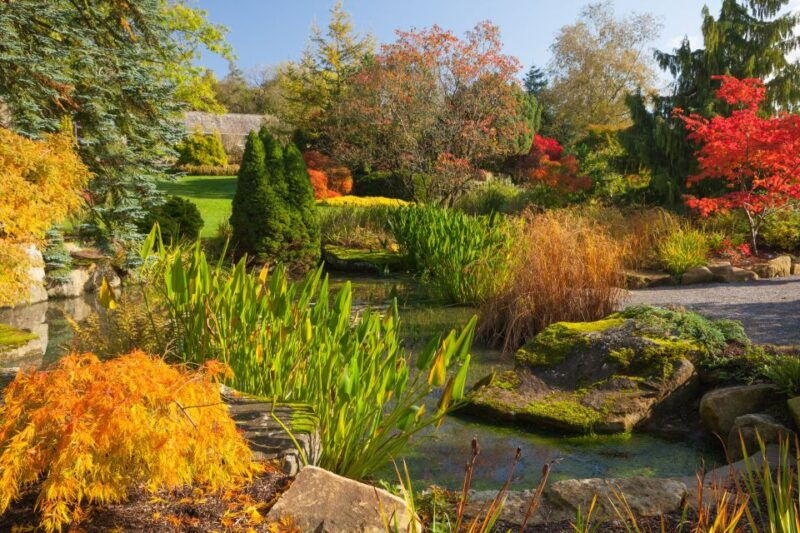 royal-horticultural-society-harlow-carr-garden-ticket