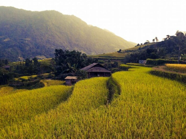 sa-pa-muong-hoa-valley-trek-and-local-ethnic-villages