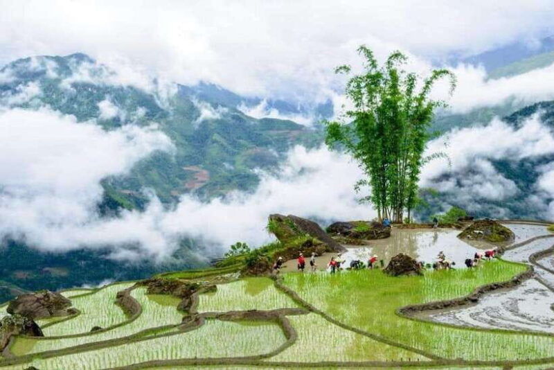 sa-pa-trekking-2d-1n-with-lalas-family