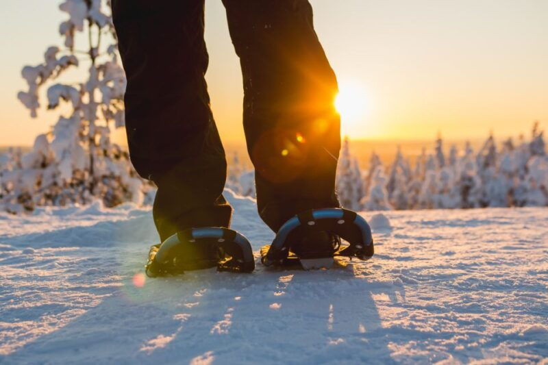 saariselka-scenic-snowshoe-safari