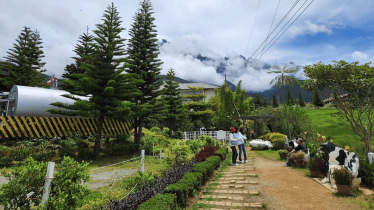 sabah-kundasang-nature-day-tour