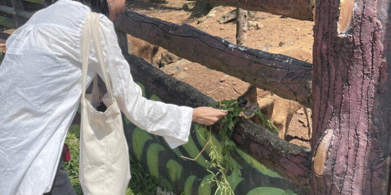 safari-lagoi-eco-farm-bintan