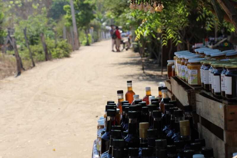 safari-through-the-mangroves-in-ventanilla-oaxaca
