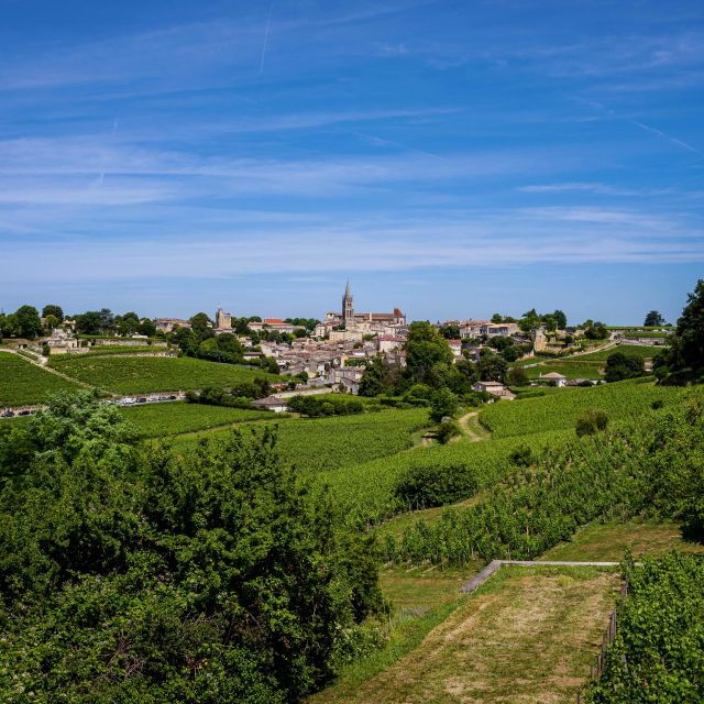 saint-emilion-half-day-ebike-and-wine-tour-with-picnic