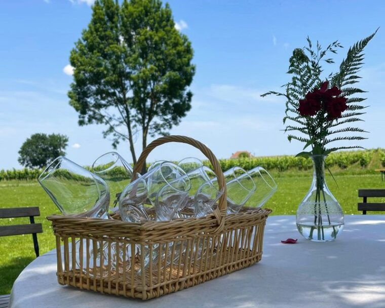 saint-emilion-wine-region-tour-w-wine-tasting-aperitifs