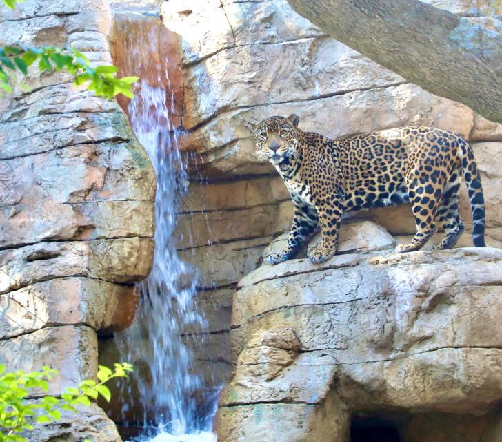 san-antonio-citypass-save-up-to-51-on-4-top-attractions