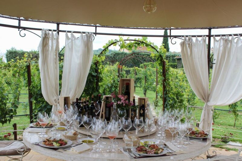 san-gimignano-vineyard-walk-with-wine-tasting-in-winery