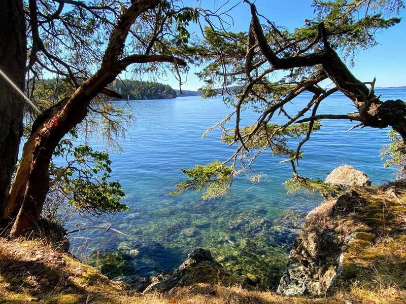 san-juan-island-full-day-kayaking-tour-with-lunch-2