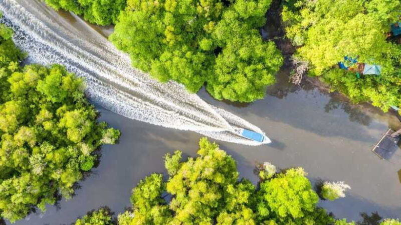 sandakan-orangutan-sun-bear-fireflies-and-mangrove-cruise