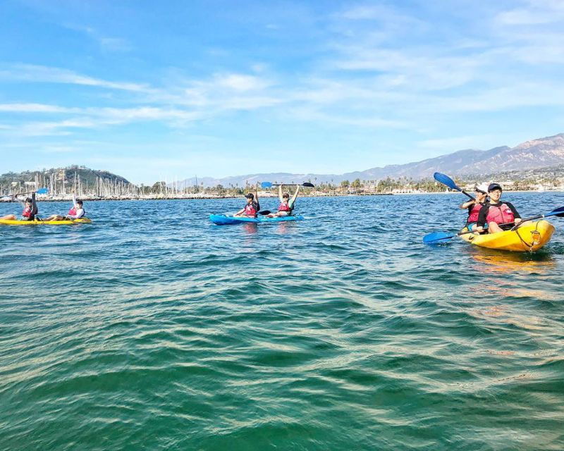 santa-barbara-harbor-wildlife-kayak-tour-2-hours