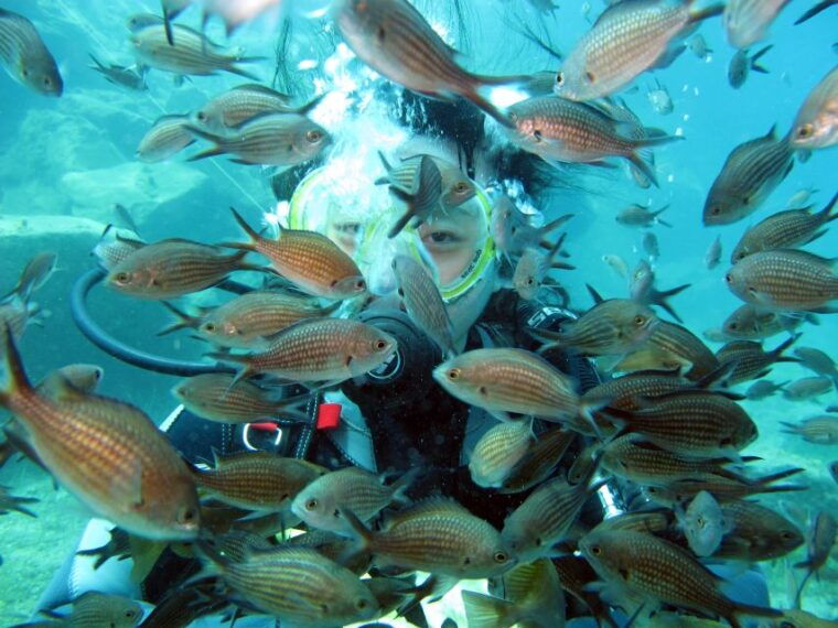 santorini-scuba-diving-experience-for-beginners