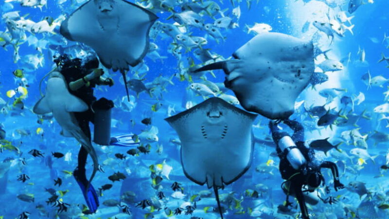 sanya-atlantis-lost-chambers-aquarium