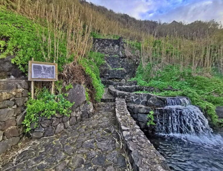 sao-miguel-ribeira-funda-hike-tea-plantation-with-lunch