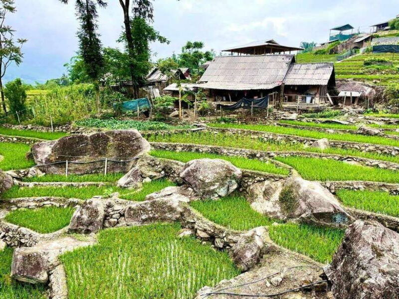 sapa-2-days-walking-1-night-at-homestay-with-local-guide