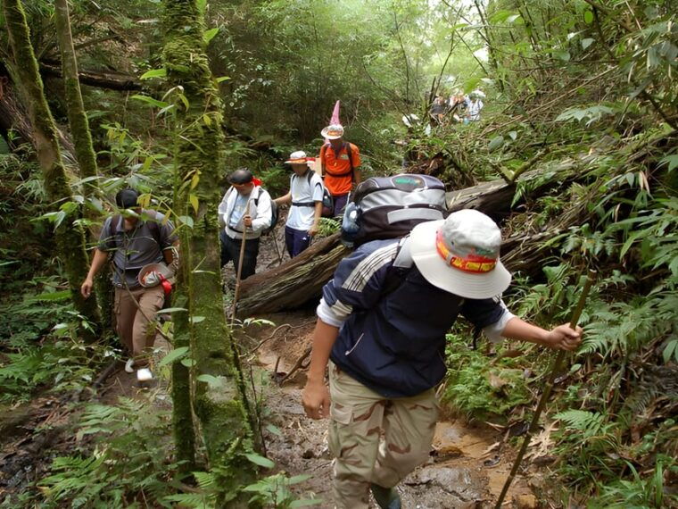 sapa-epic-2-day-trek-to-fansipan-mountain-peak