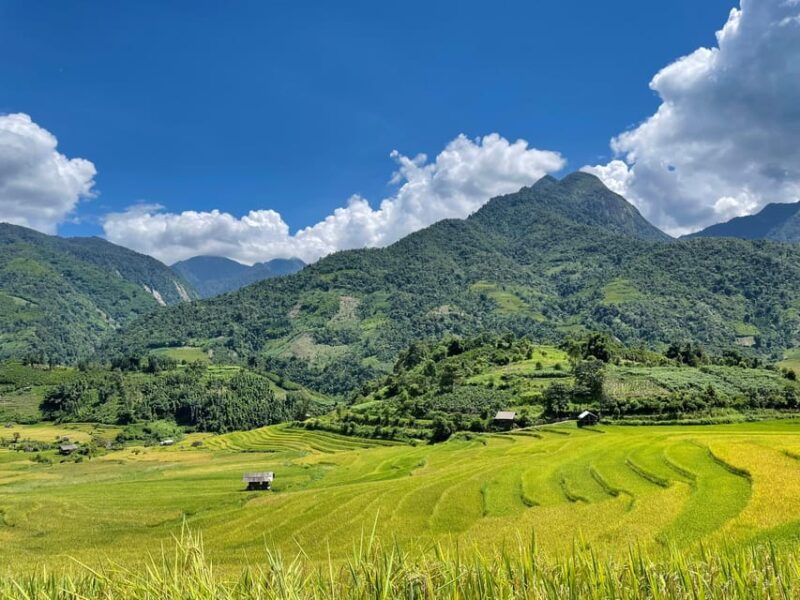 sapa-trekking-through-terraced-rice-fields-valley-1-day