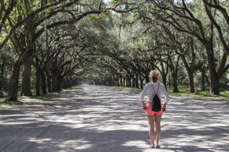 savannah-historic-highlights-walking-tour