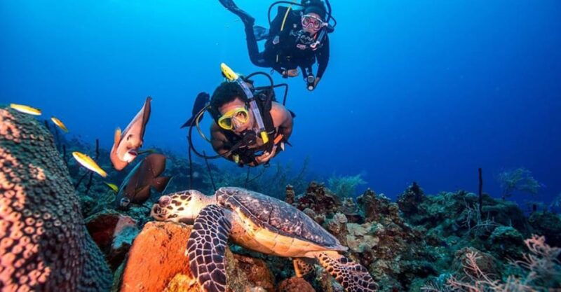scuba-diving-tour-with-transfer-from-alanya-and-city-of-side-2