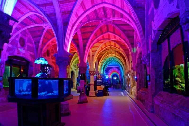 sea-life-brighton-admission-ticket-2