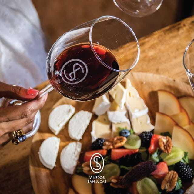 sensory-wine-tasting-experience-at-san-lucas-vineyard