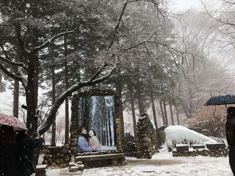 seoul-alpaca-nami-garden-of-morning-calm-tour-rail-bike