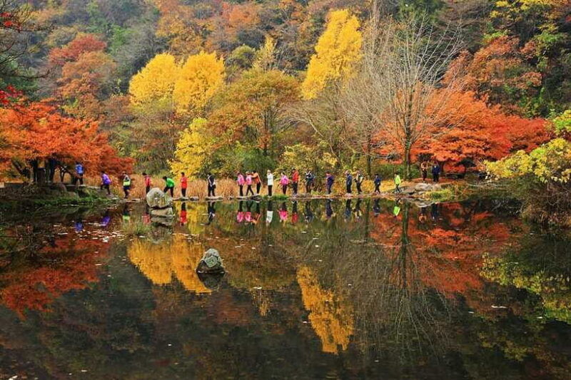 seoul-autumn-foliage-mt-naejang-jeonju-hanok-village