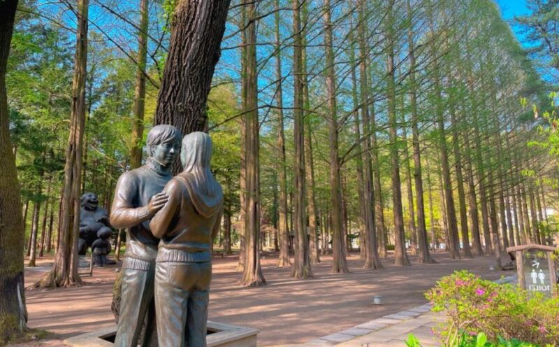 seoul-gangwon-do-day-trip-with-alpaca-world-nami-island