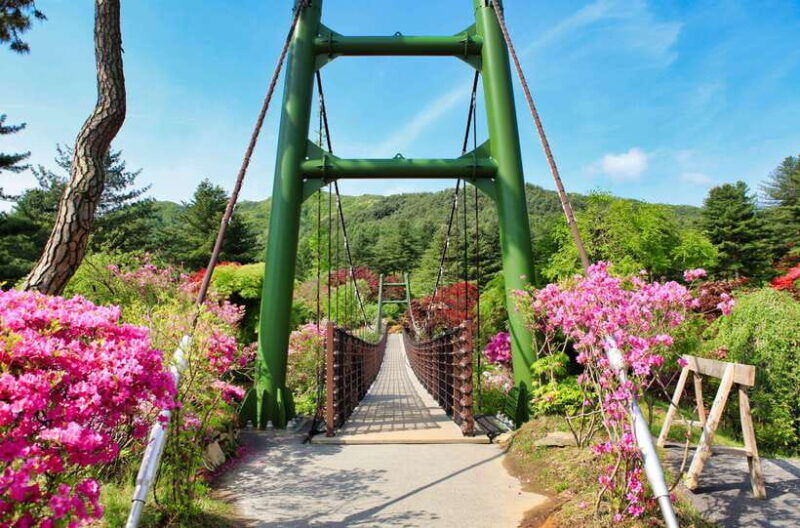 seoul-nami-island-and-garden-of-morning-calm-railbike
