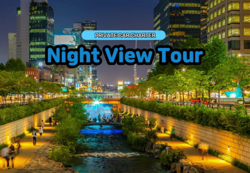 seoul-private-night-view-tour