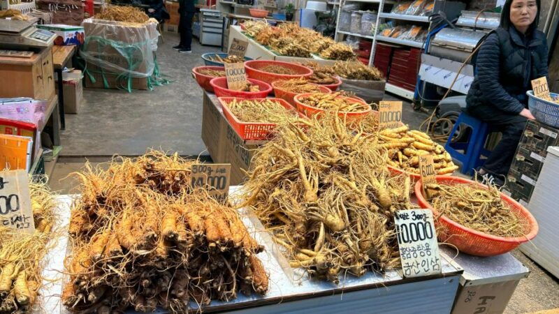 seoul-temple-vegan-cooking-class-oriental-medicine-tour