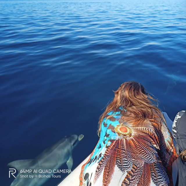 sesimbra-dolphin-watching-boat-tour-with-biologist-guide