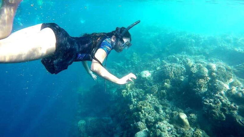 shared-tour-moalboal-snorkeling-adventure-canyoneering