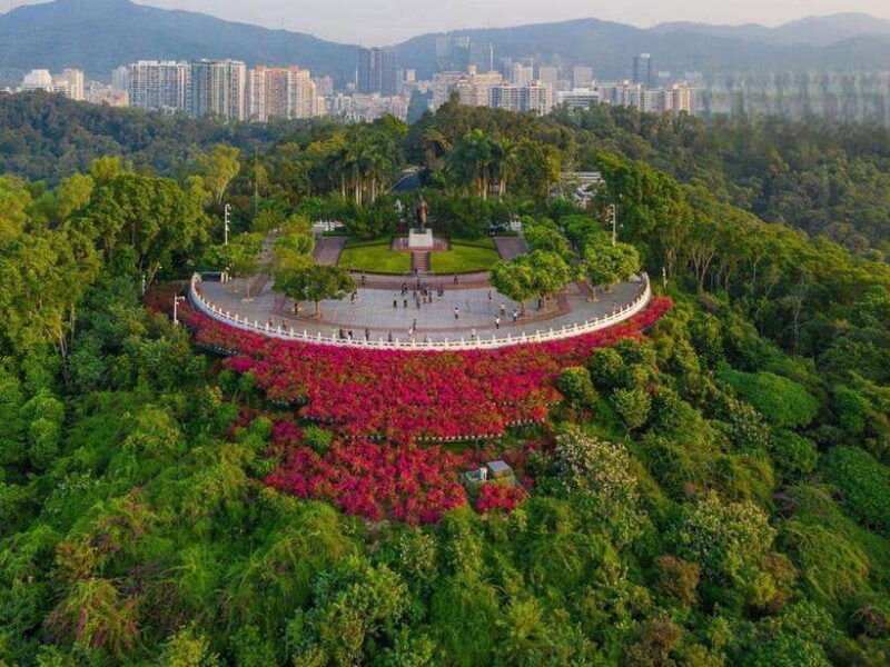 shenzhen-city-walk-highlights-tour