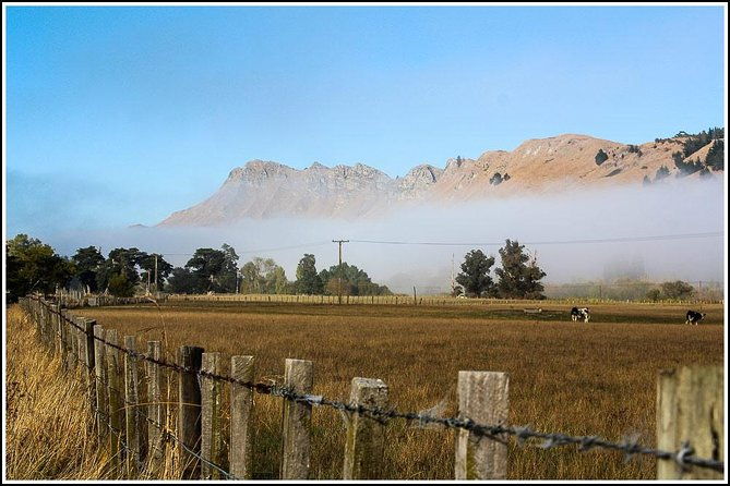 Shore Excursion: 4 Hour Premium Hawkes Bay and Napier Tour - Final Thoughts