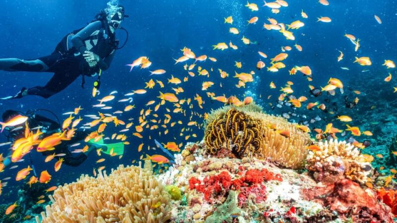 side-scuba-diving-tour-journey-to-the-depths-of-the-blue