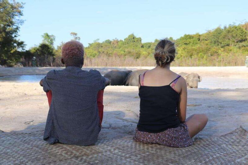 siem-reap-dine-with-elephants-a-nature-wildlife-journey
