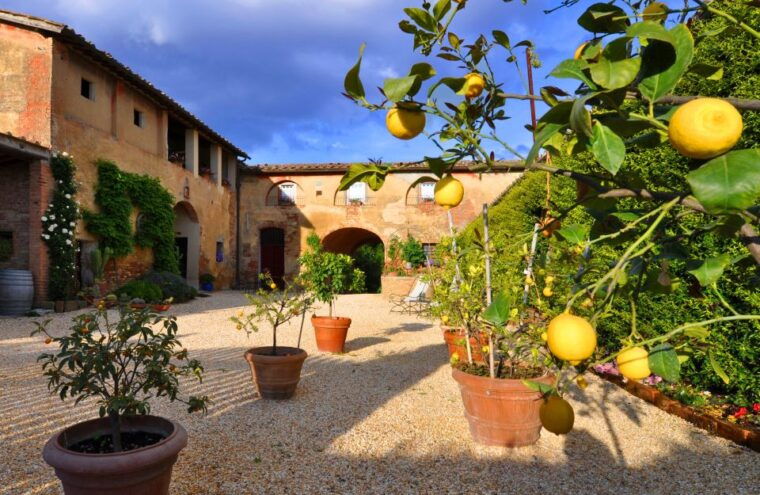 siena-educational-wine-tour-tasting