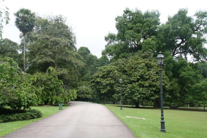 singapore-private-tour-with-a-driver