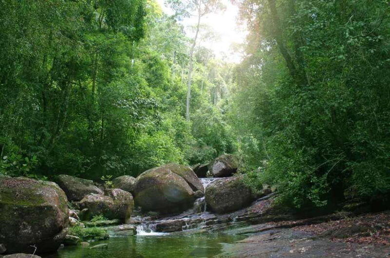 sinharaja-rainforest-day-trip-from-colombo-or-negombo