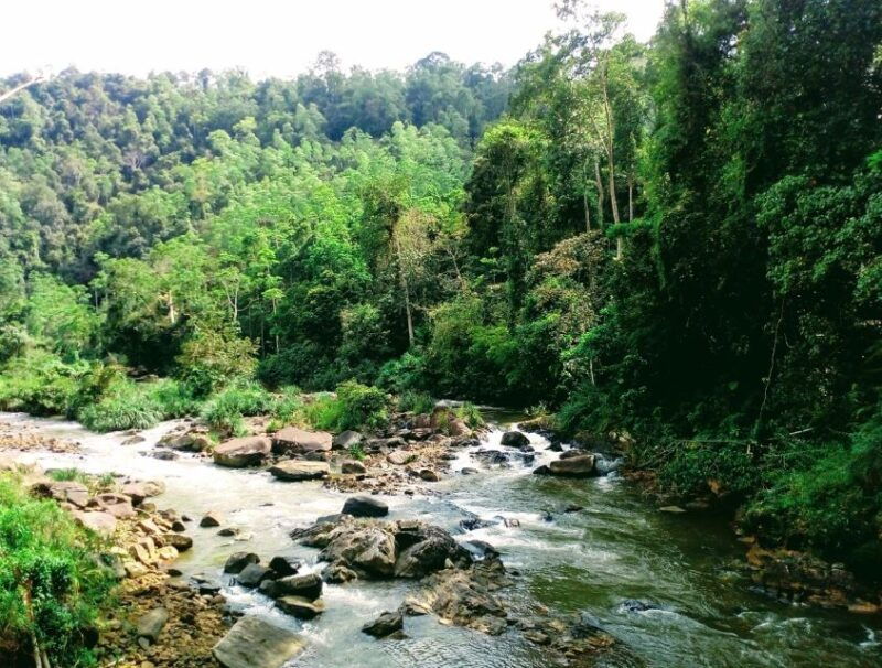 sinharaja-rainforest-private-customize-tour