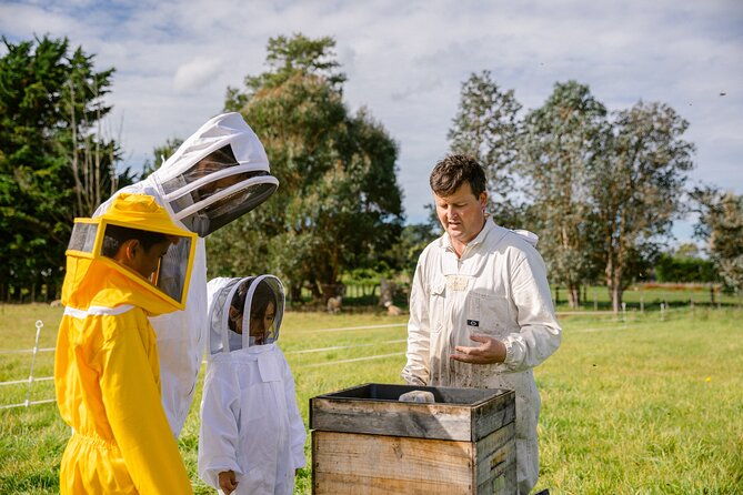 Small-Group Beekeeping Experience in Tauherenikau - The Sum Up
