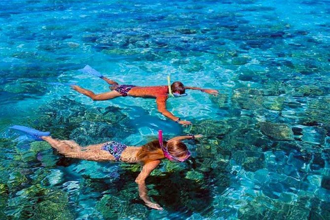 Small group snorkeling (5 people max): wrecks & tropical fishes at 3:30pm - FAQ