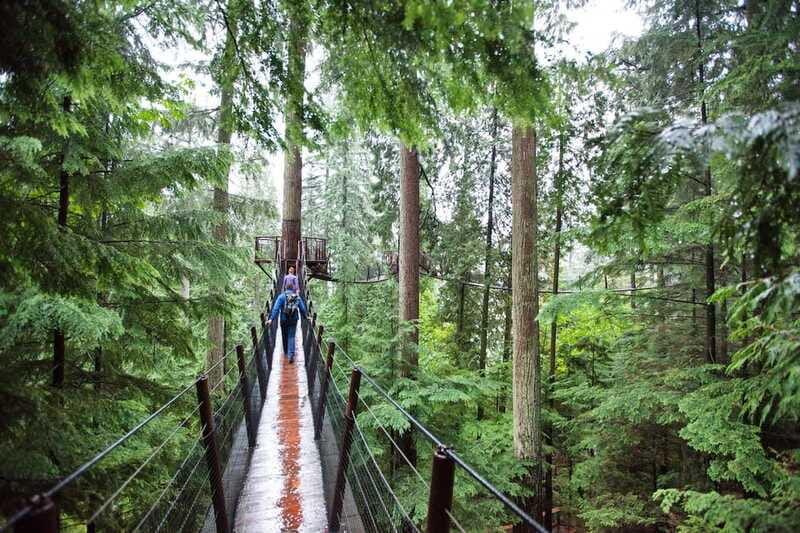 small-group-tour-of-capilano-bridge-grouse-mountain