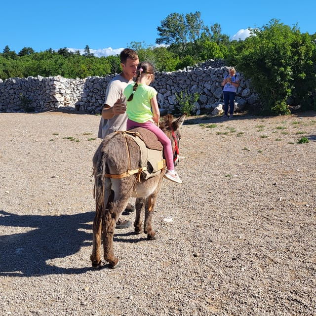 smrika-near-rijeka-krk-crikvenica-donkey-farm-entry-ticket