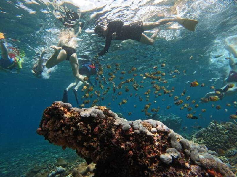 snorkeling-adventure-with-lucky-snorkeling